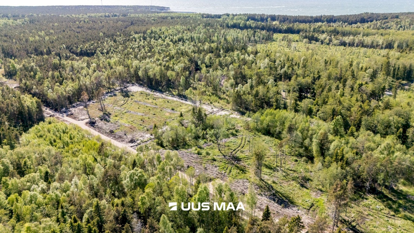 Lääne-Nigula vald, Spithami küla/Spithamn, Rändlinnu tee