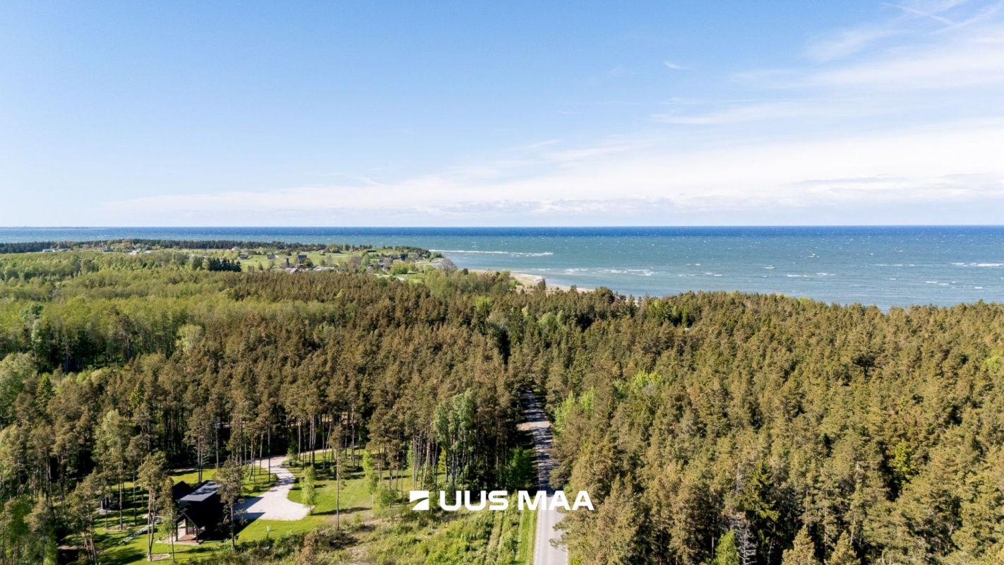 Lääne-Nigula vald, Spithami küla/Spithamn, Rändlinnu tee