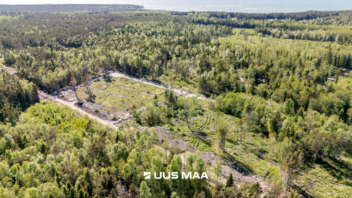 Lääne-Nigula vald, Spithami küla/Spithamn, Rändlinnu tee