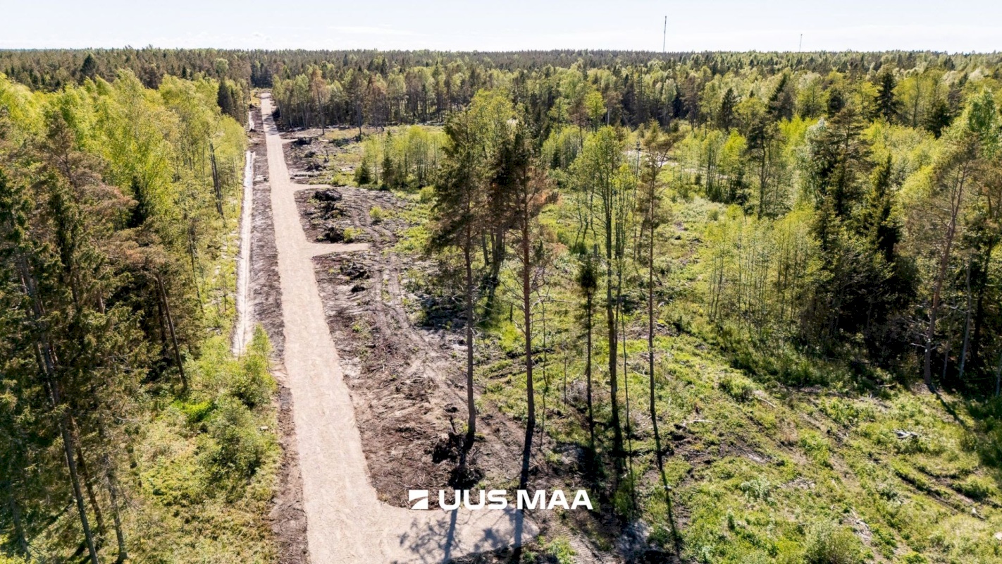 Lääne-Nigula vald, Spithami küla/Spithamn, Rändlinnu tee