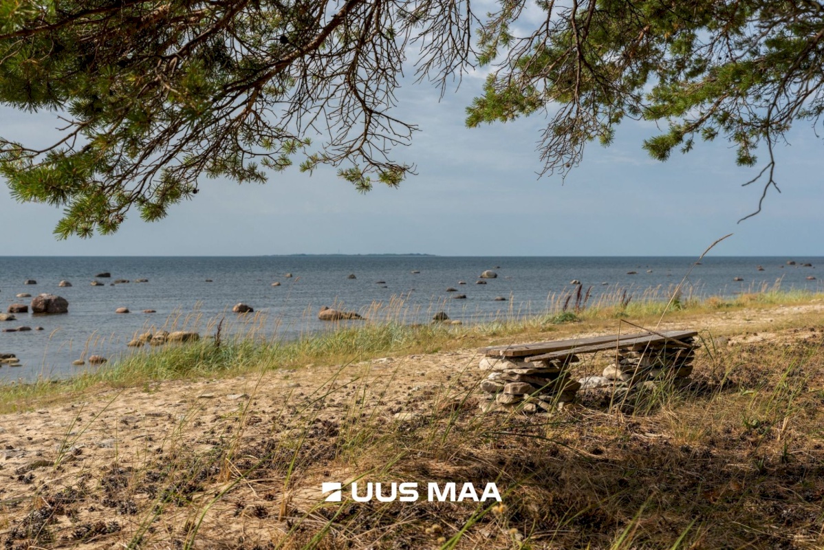 Lääne-Nigula vald, Spithami küla/Spithamn, Rändlinnu tee
