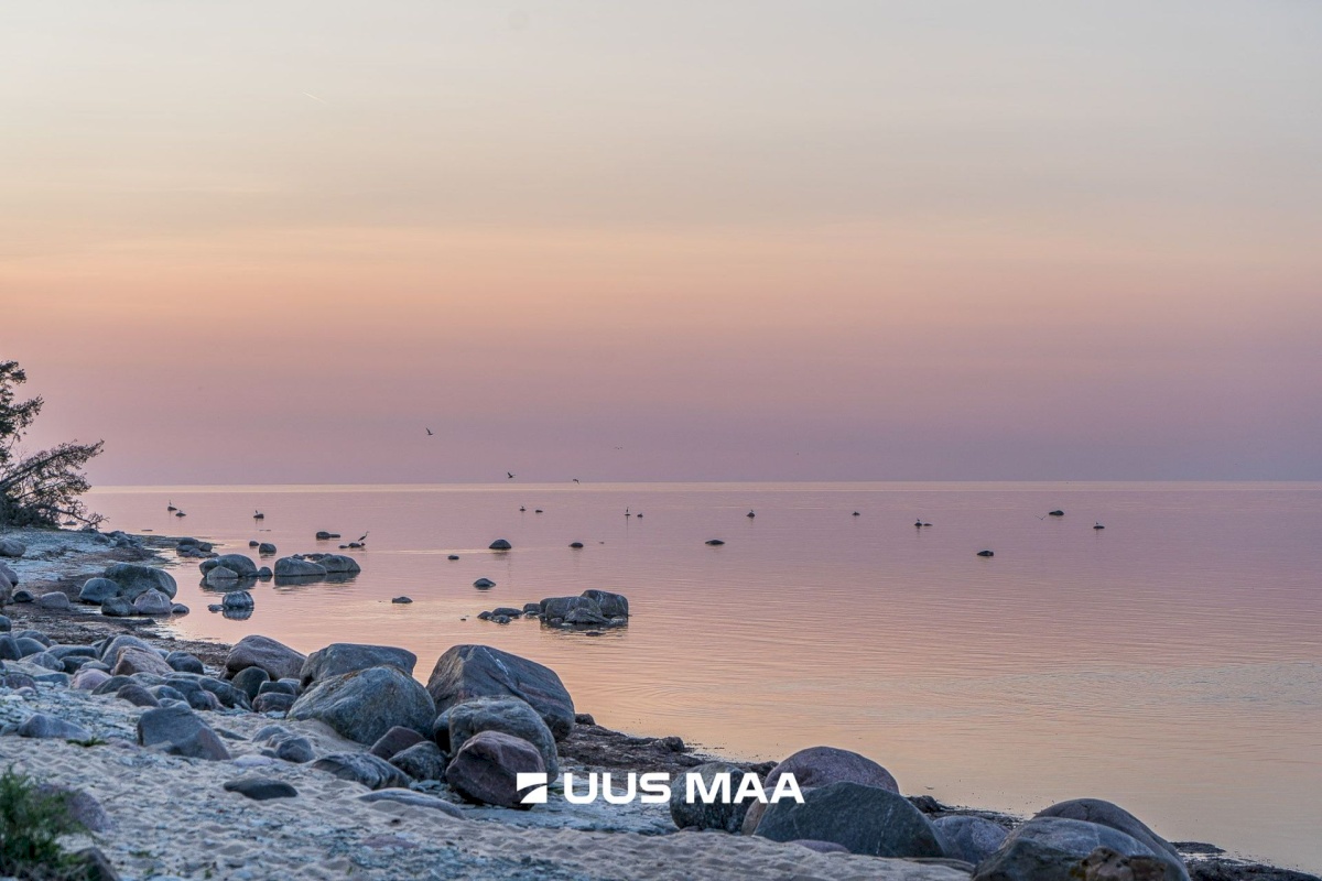 Lääne-Nigula vald, Spithami küla/Spithamn, Rändlinnu tee