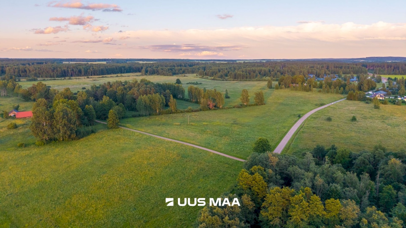 Kastre vald, Haaslava küla, Ainsoo