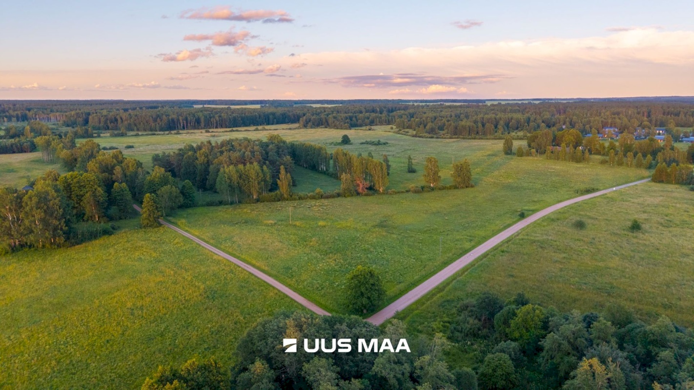 Kastre vald, Haaslava küla, Ainsoo