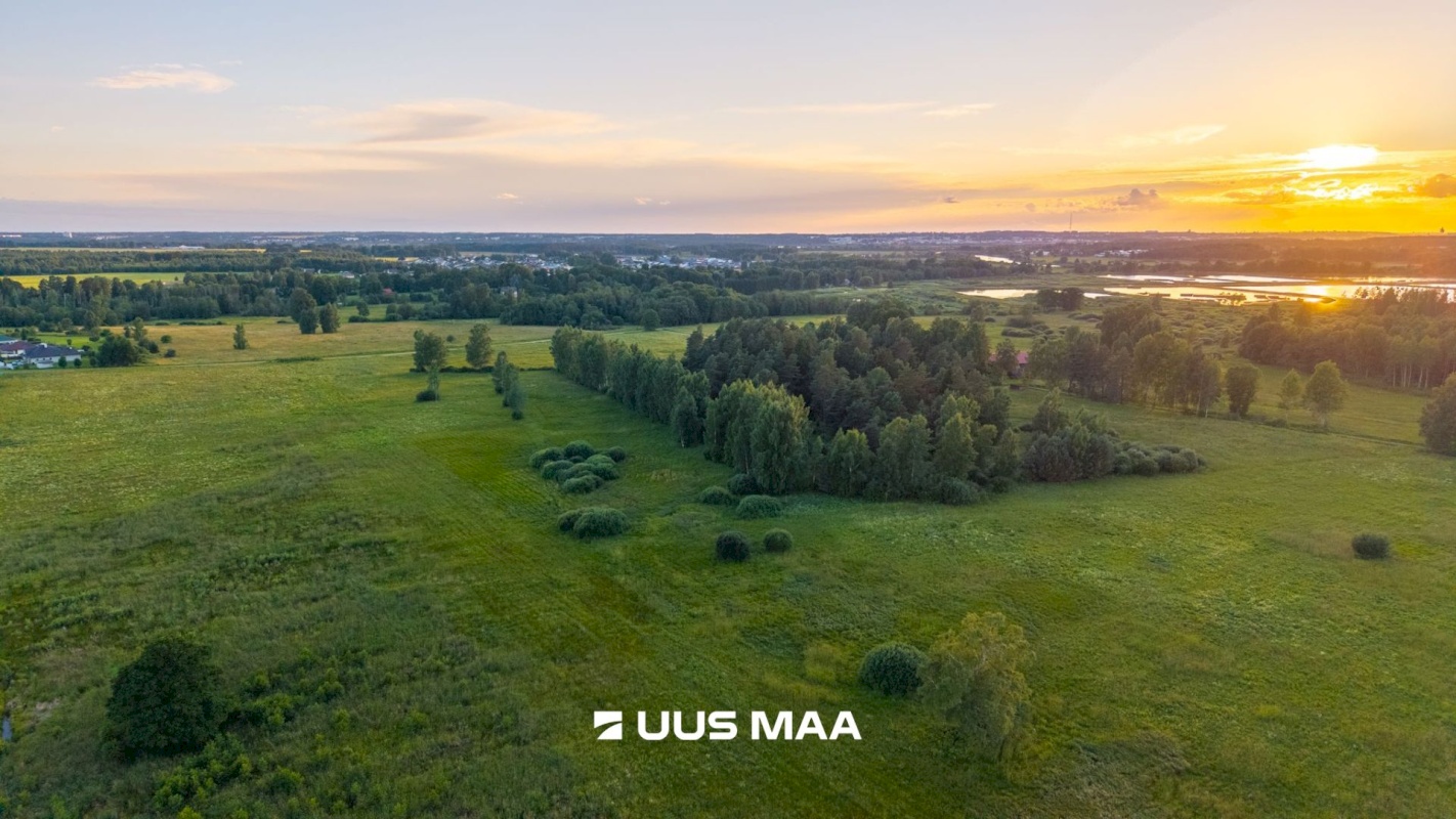 Kastre vald, Haaslava küla, Ainsoo
