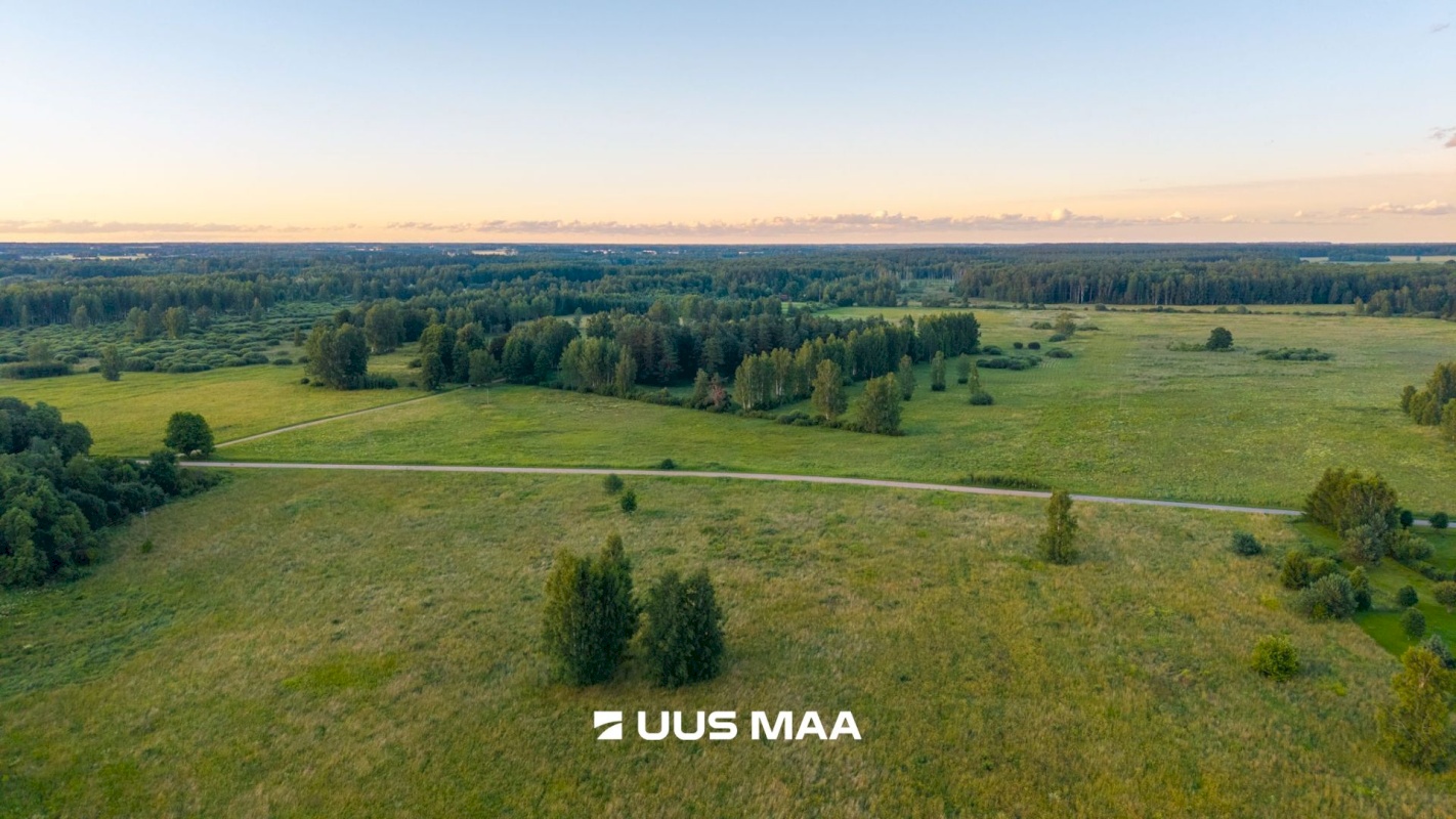 Kastre vald, Haaslava küla, Ainsoo