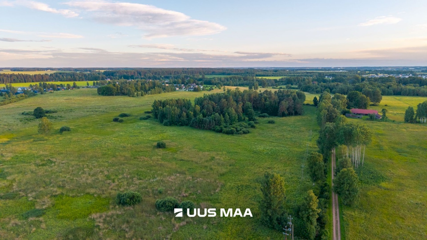 Kastre vald, Haaslava küla, Ainsoo