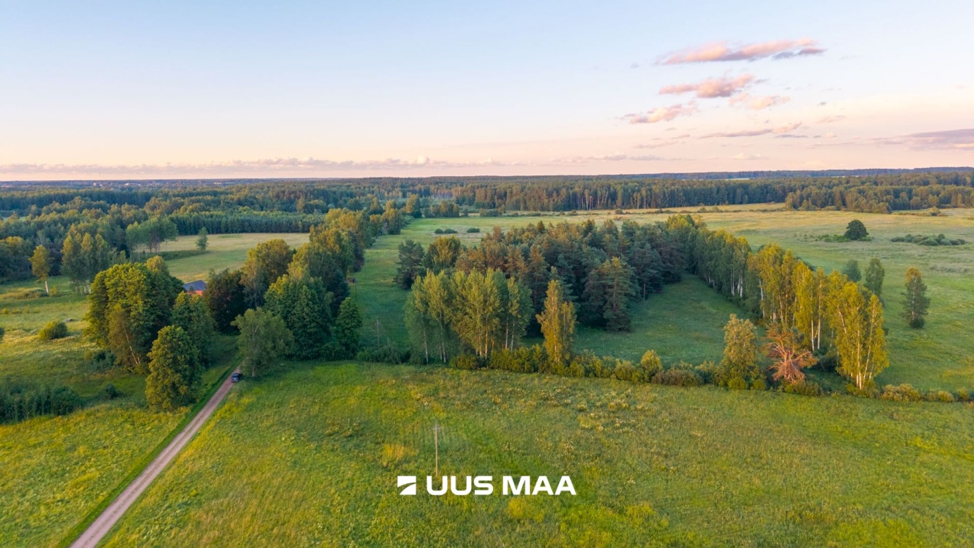 Kastre vald, Haaslava küla, Ainsoo