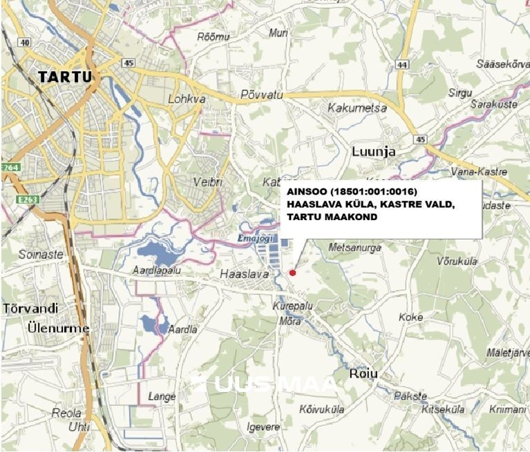 Kastre vald, Haaslava küla, Ainsoo