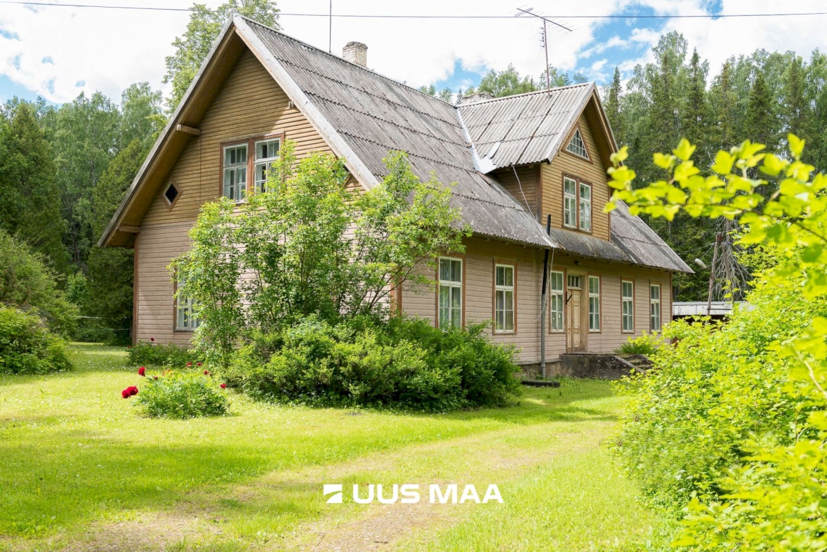 Tapa vald, Järvajõe küla, Laululinnu külalistemaja