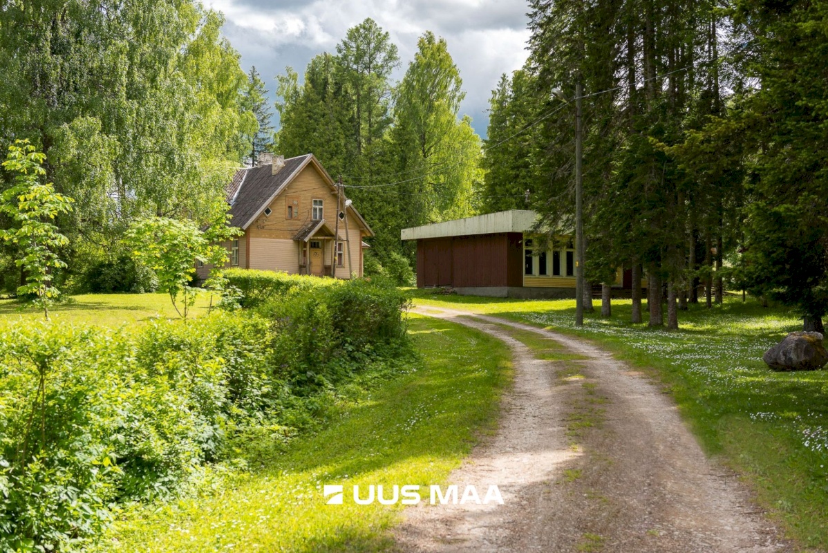 Tapa vald, Järvajõe küla, Laululinnu külalistemaja