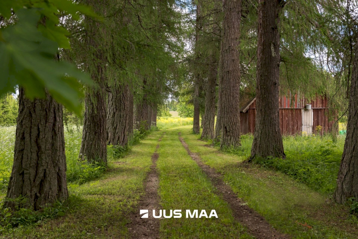 Tapa vald, Järvajõe küla, Laululinnu külalistemaja