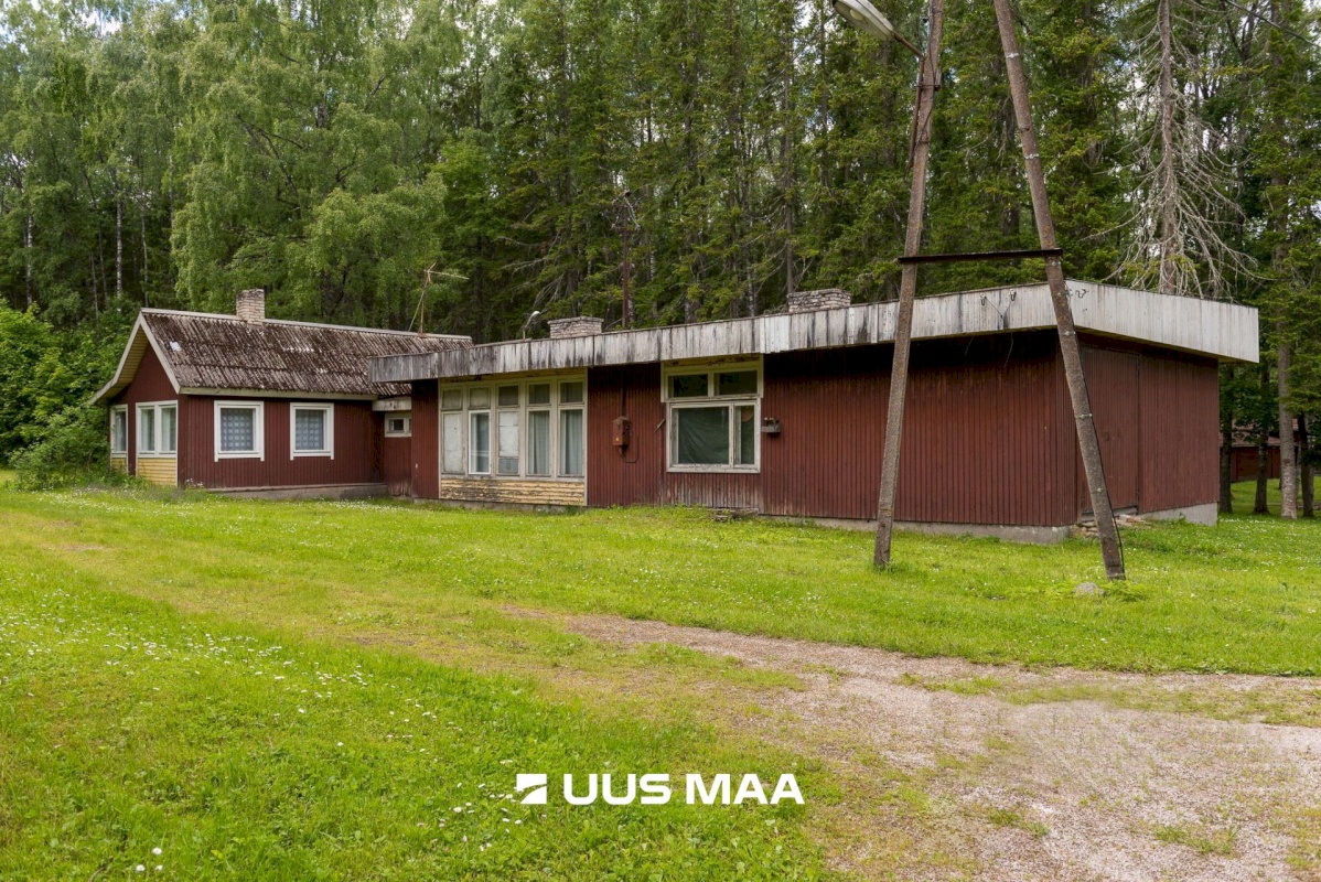 Tapa vald, Järvajõe küla, Laululinnu külalistemaja