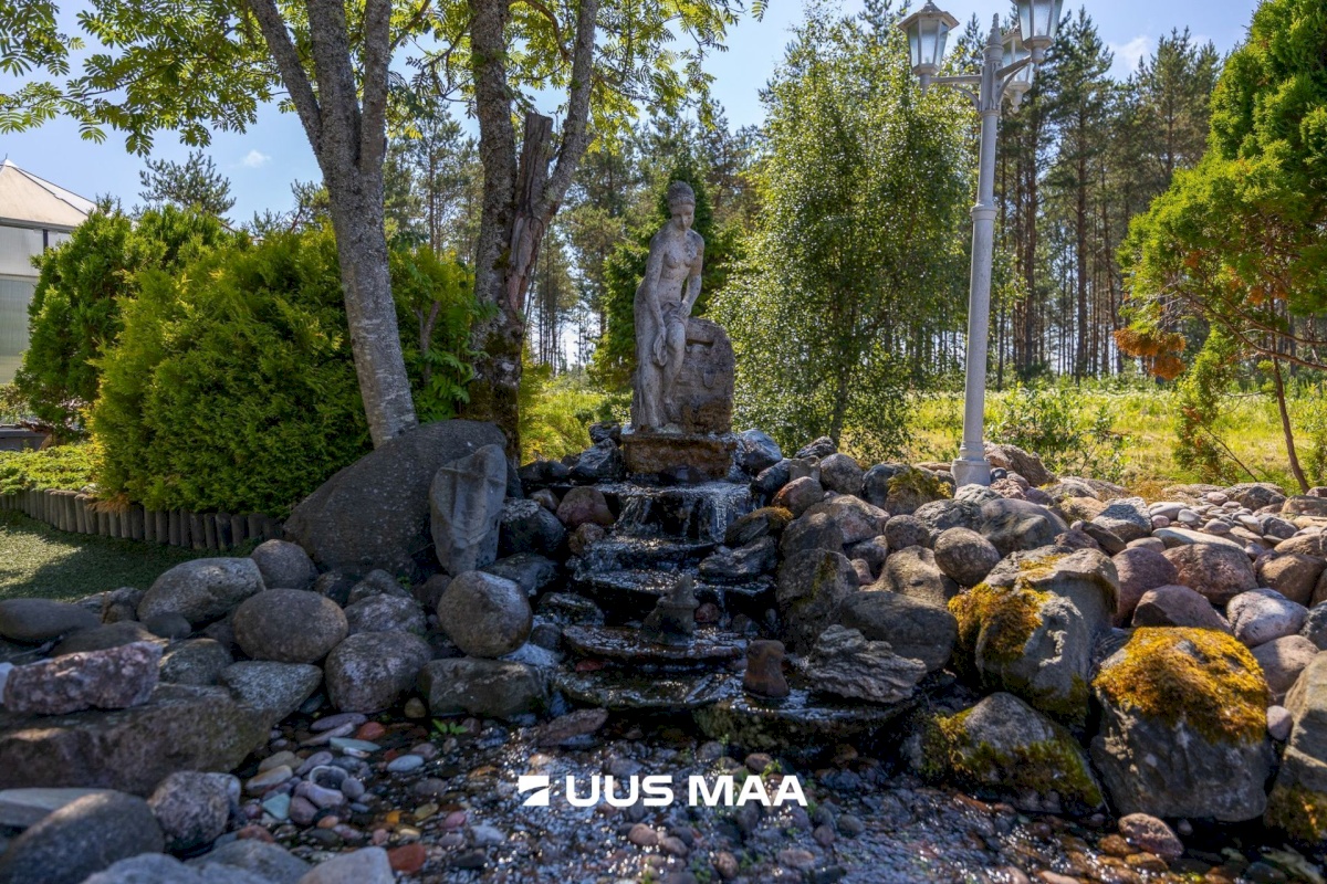 Lääne-Harju vald, Niitvälja küla
