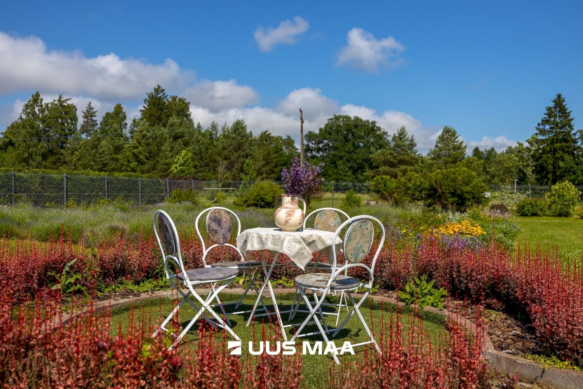 Lääne-Harju vald, Niitvälja küla