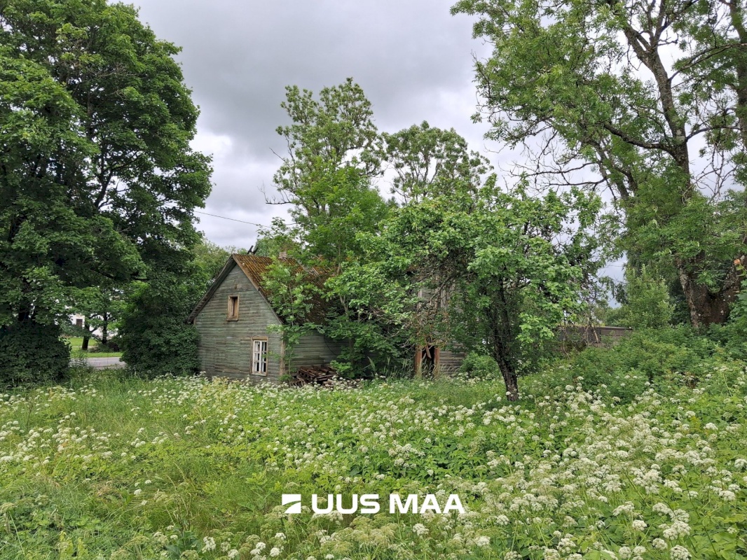 Järva vald, Aravete alevik, Piibe 30