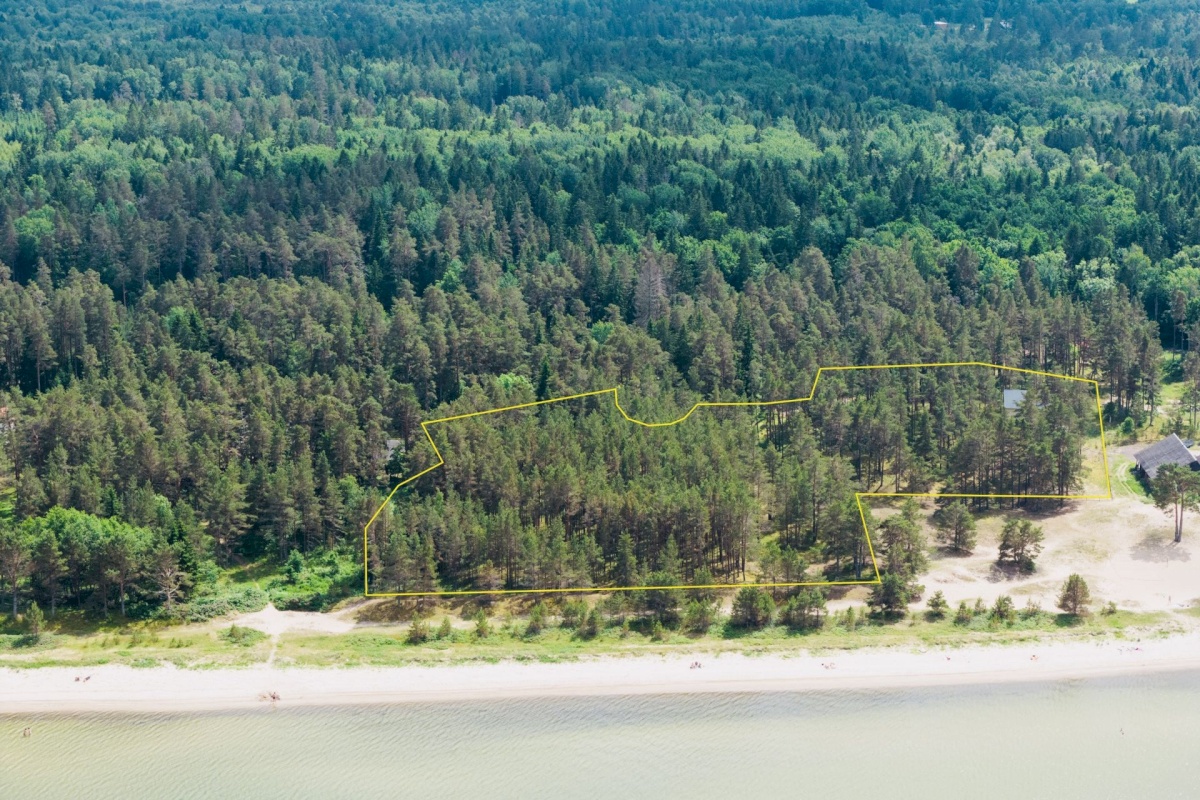 Kuusalu vald, Valkla küla, Männituka 3