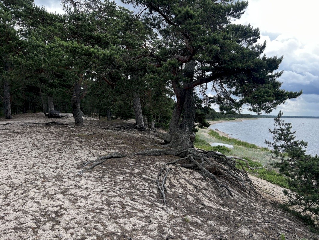 Lääne-Harju vald, Laulasmaa küla, Lohusalu tee 21