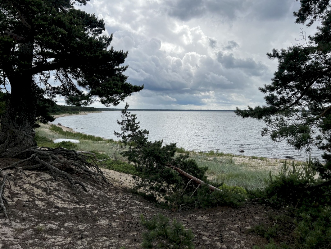 Lääne-Harju vald, Laulasmaa küla, Lohusalu tee 21