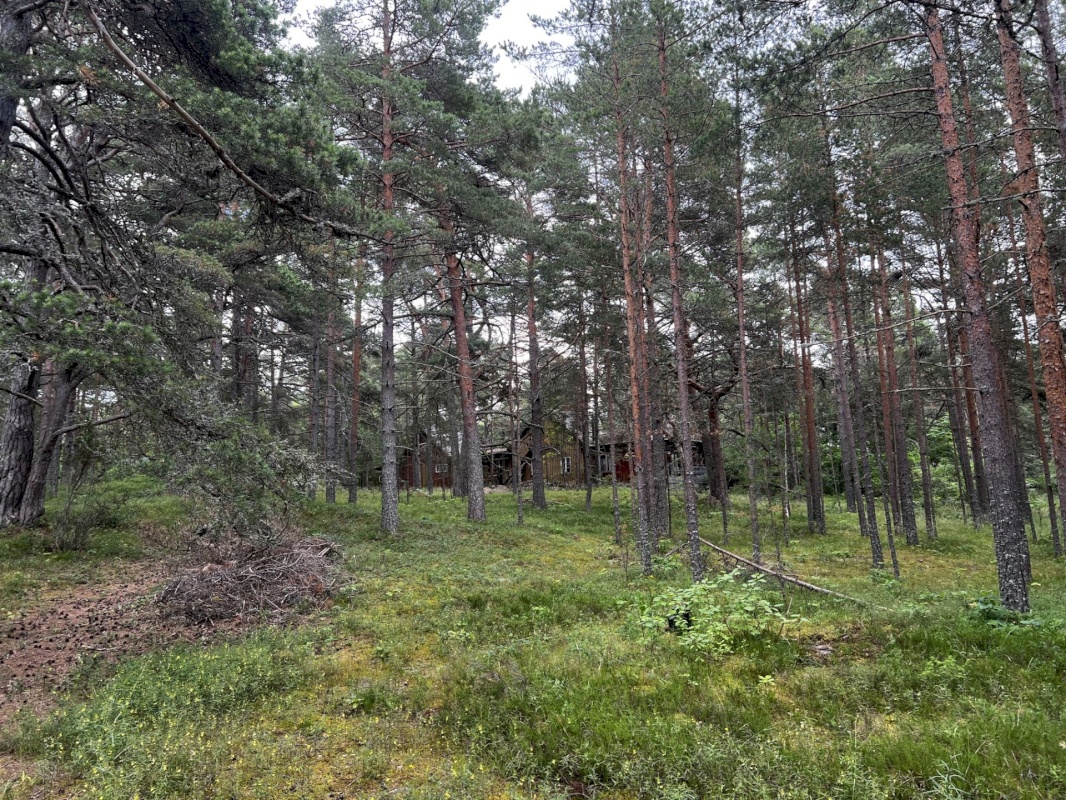 Lääne-Harju vald, Laulasmaa küla, Lohusalu tee 21
