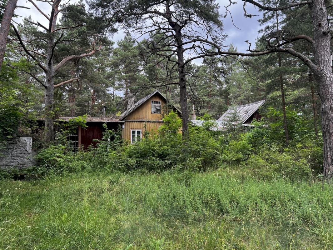 Lääne-Harju vald, Laulasmaa küla, Lohusalu tee 21