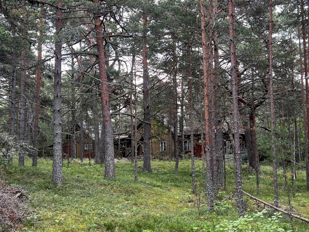 Lääne-Harju vald, Laulasmaa küla, Lohusalu tee 21