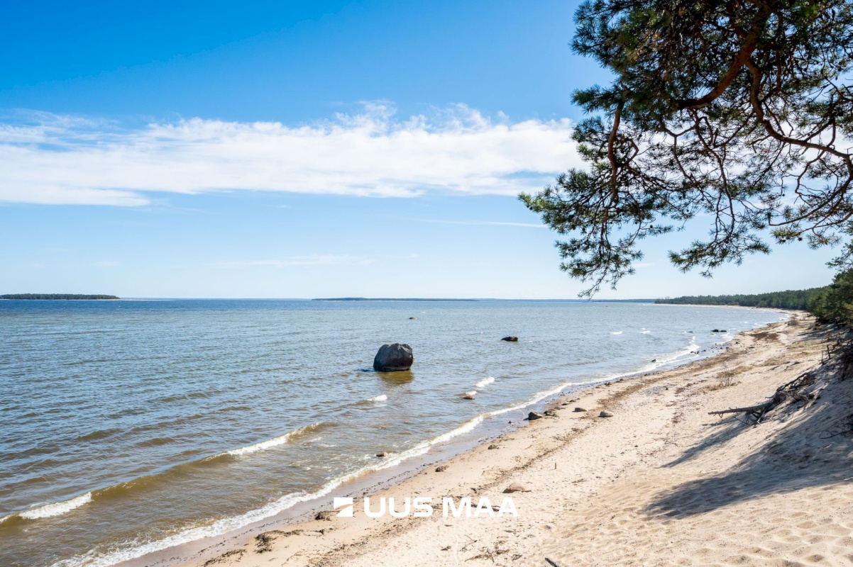 Jõelähtme vald, Haapse küla, Põhja-Kullamäe ühistu 29