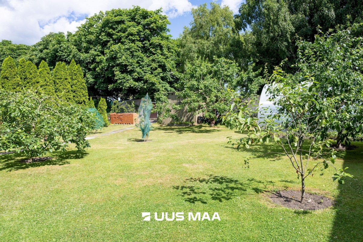 Saaremaa vald, Kuressaare linn, Talve 86a