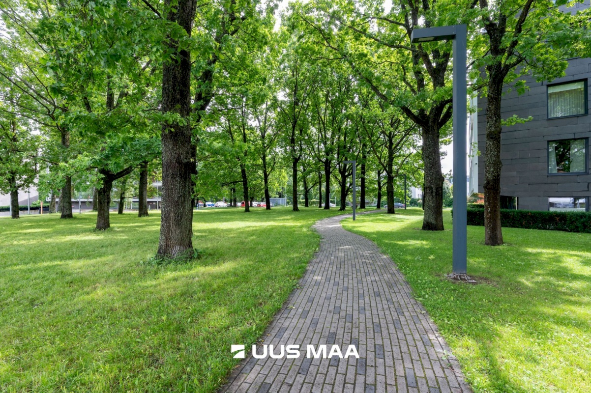Tallinn, Kesklinna linnaosa, Kadriorg, Tuukri 23