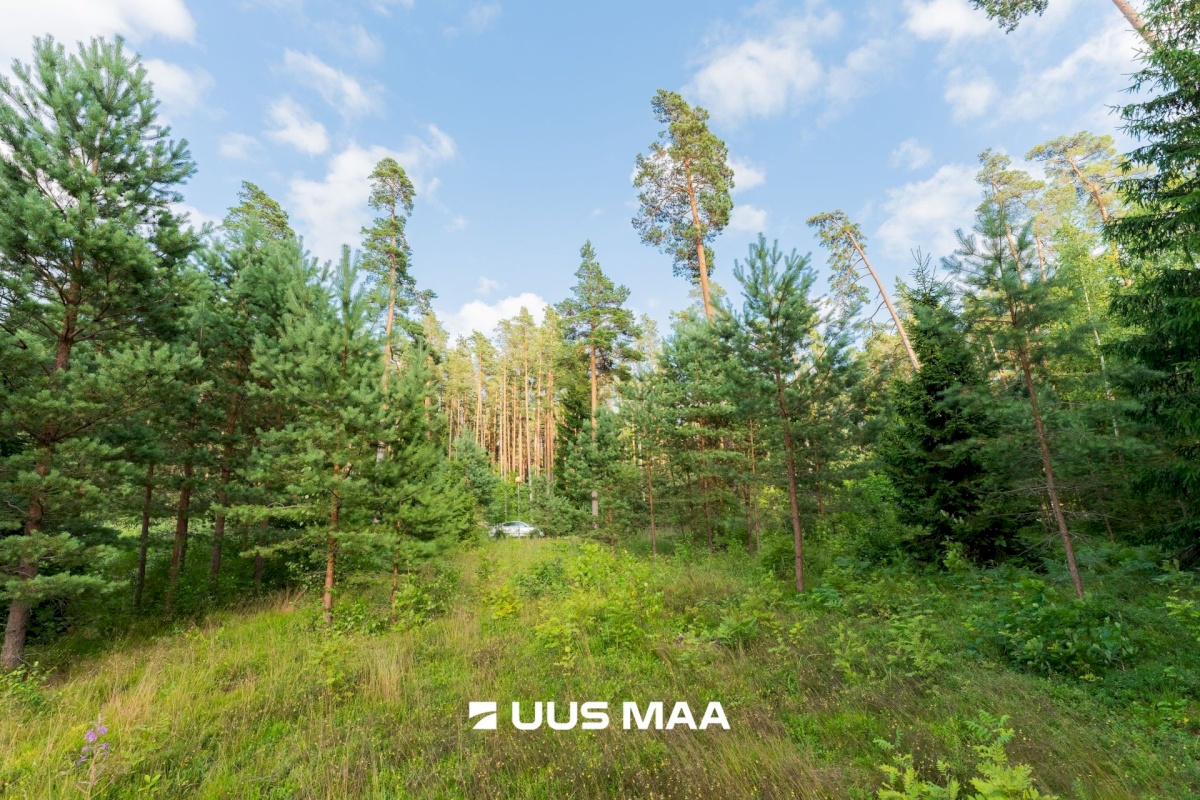 Häädemeeste vald, Reiu küla, Posti tee 48