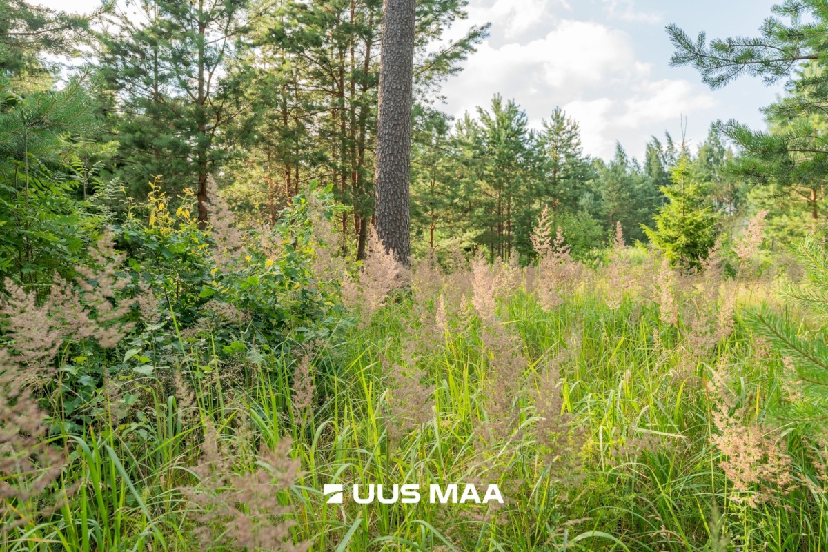Häädemeeste vald, Reiu küla, Posti tee 48