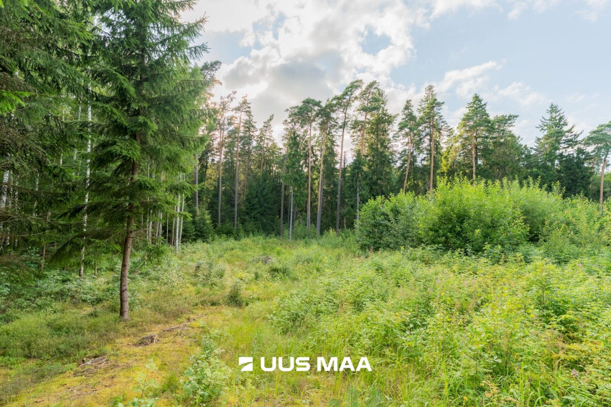 Häädemeeste vald, Reiu küla, Posti tee 48