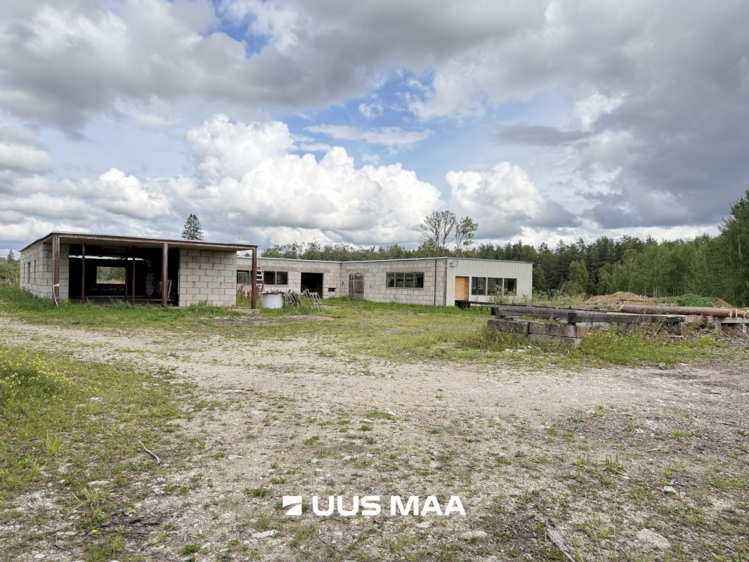 Rapla vald, Koigi küla