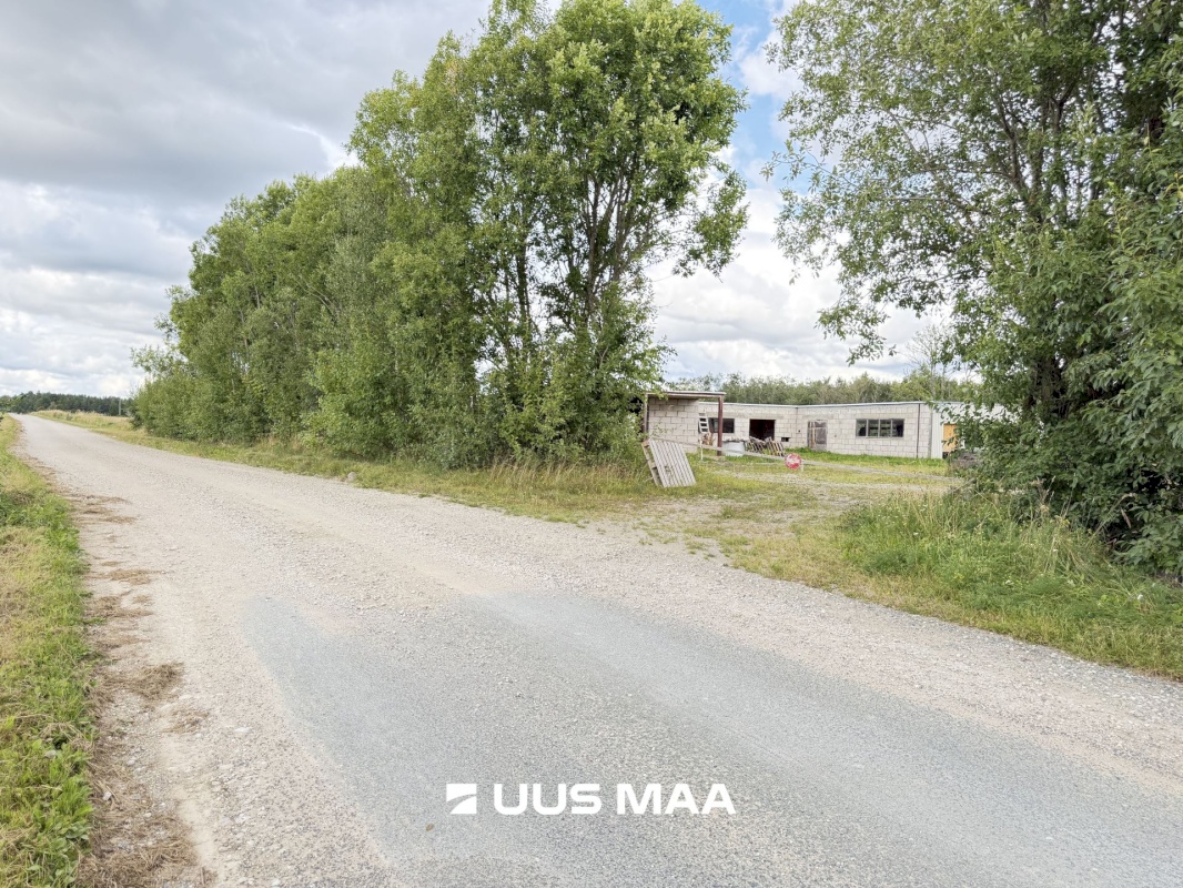 Rapla vald, Koigi küla