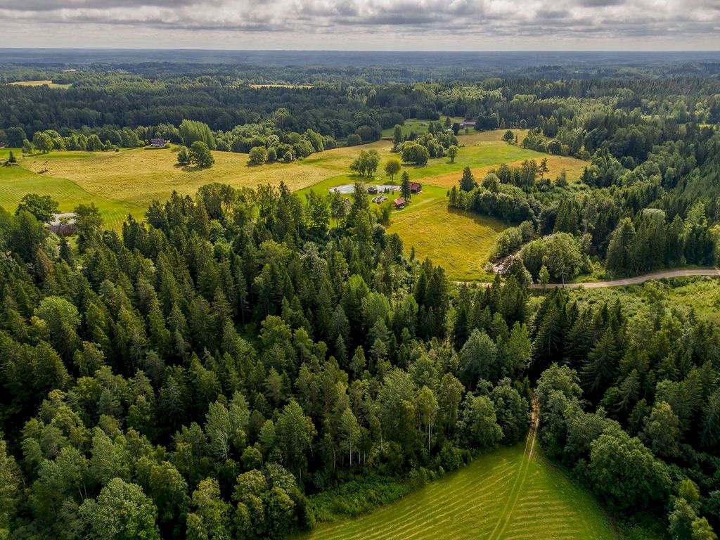 Rõuge vald, Purka küla, Purgase