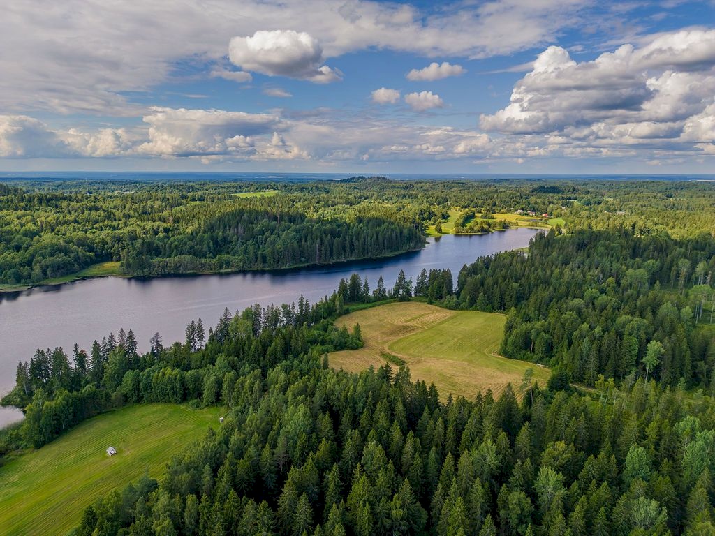 Rõuge vald, Purka küla, Purgase