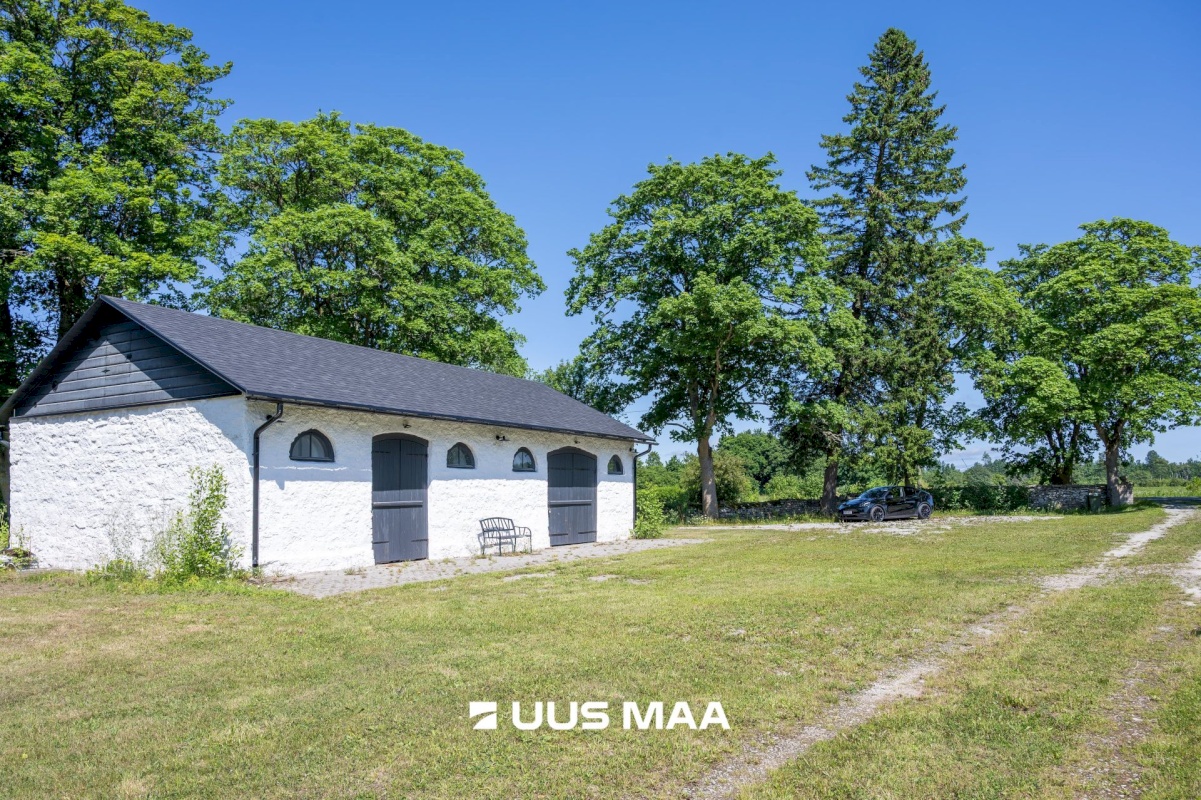 Saaremaa vald, Lümanda küla, Pikanina