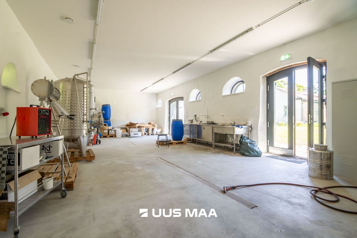 Saaremaa vald, Lümanda küla, Pikanina