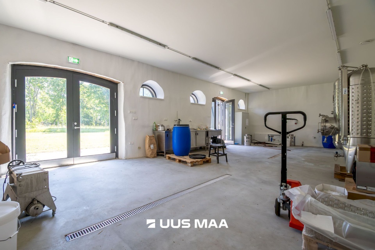 Saaremaa vald, Lümanda küla, Pikanina