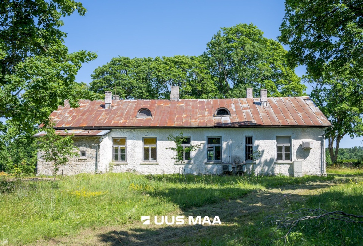Saaremaa vald, Lümanda küla, Pikanina