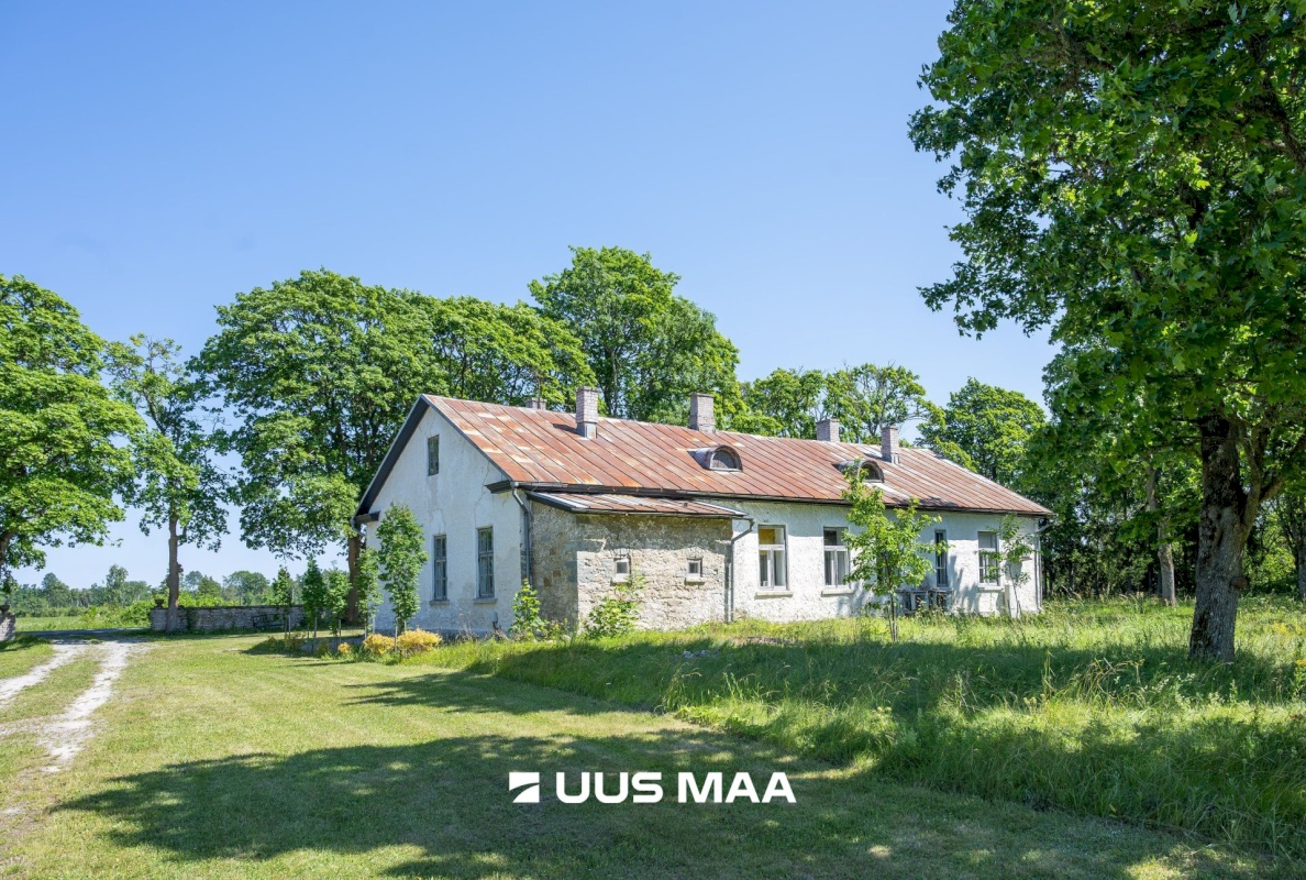 Saaremaa vald, Lümanda küla, Pikanina