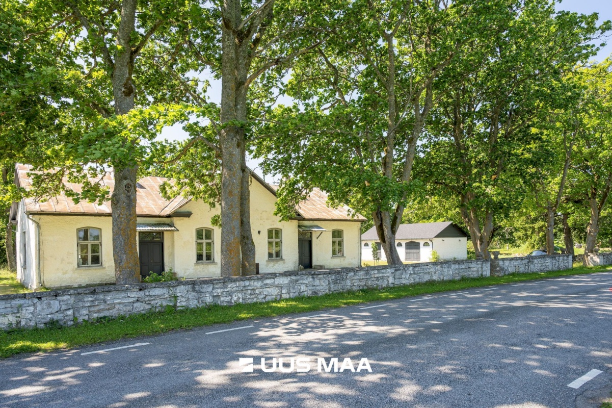 Saaremaa vald, Lümanda küla, Pikanina