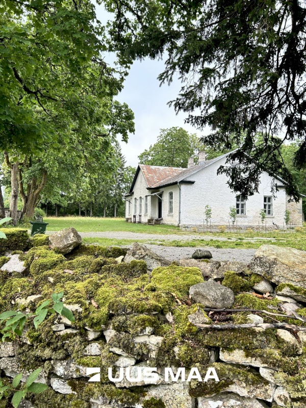 Saaremaa vald, Lümanda küla, Pikanina