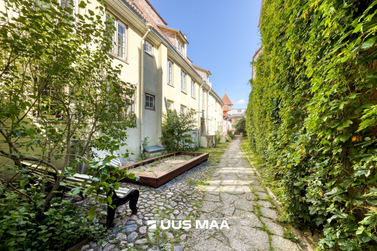 Tallinn, Kesklinna linnaosa, Vanalinn, Vene 10