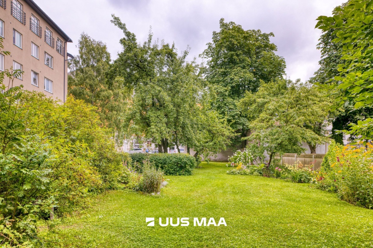 Tallinn, Kesklinna linnaosa, Uus Maailm, Koidu 104