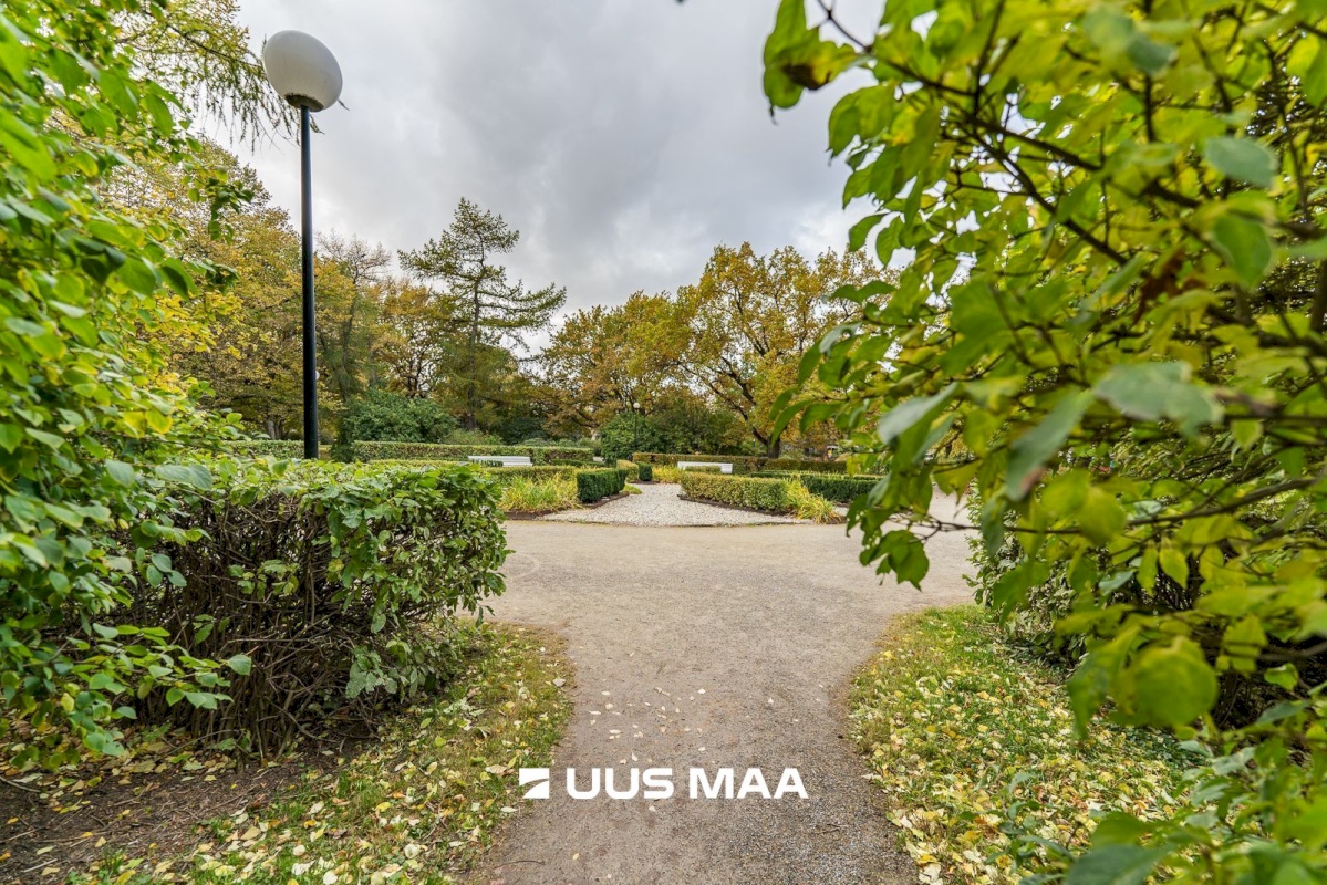 Tallinn, Kesklinna linnaosa, Vanalinn, Lai 33