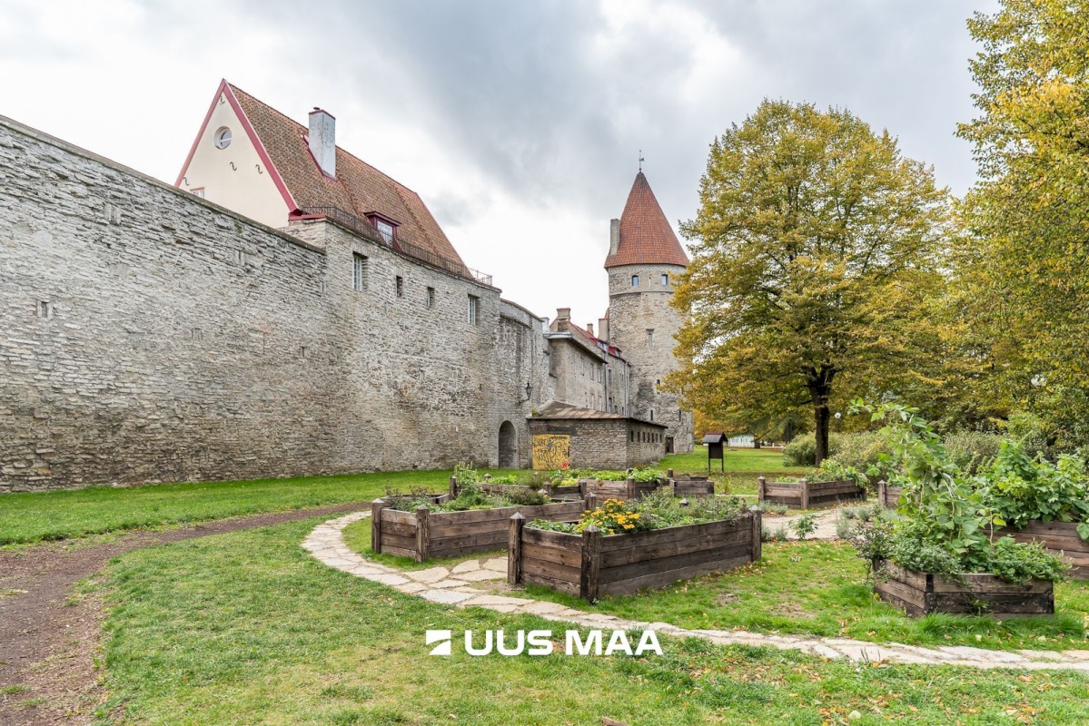 Tallinn, Kesklinna linnaosa, Vanalinn, Lai 33