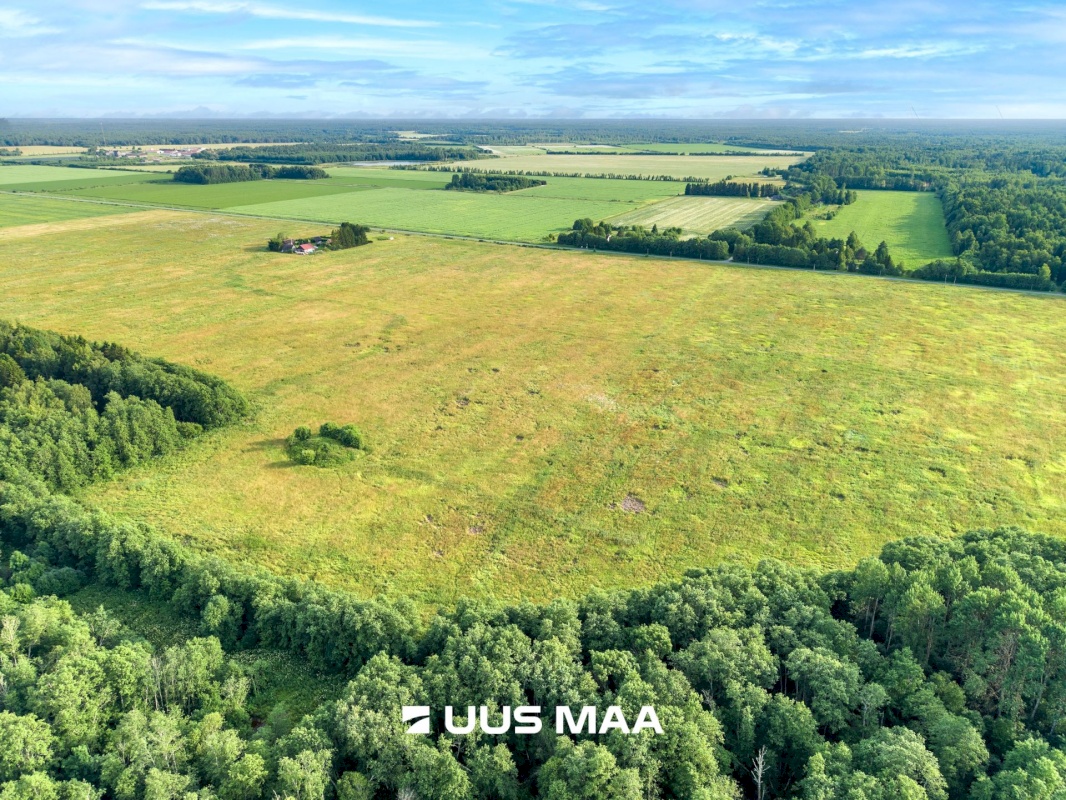Lääne-Harju vald, Laane küla, Kasemetsa