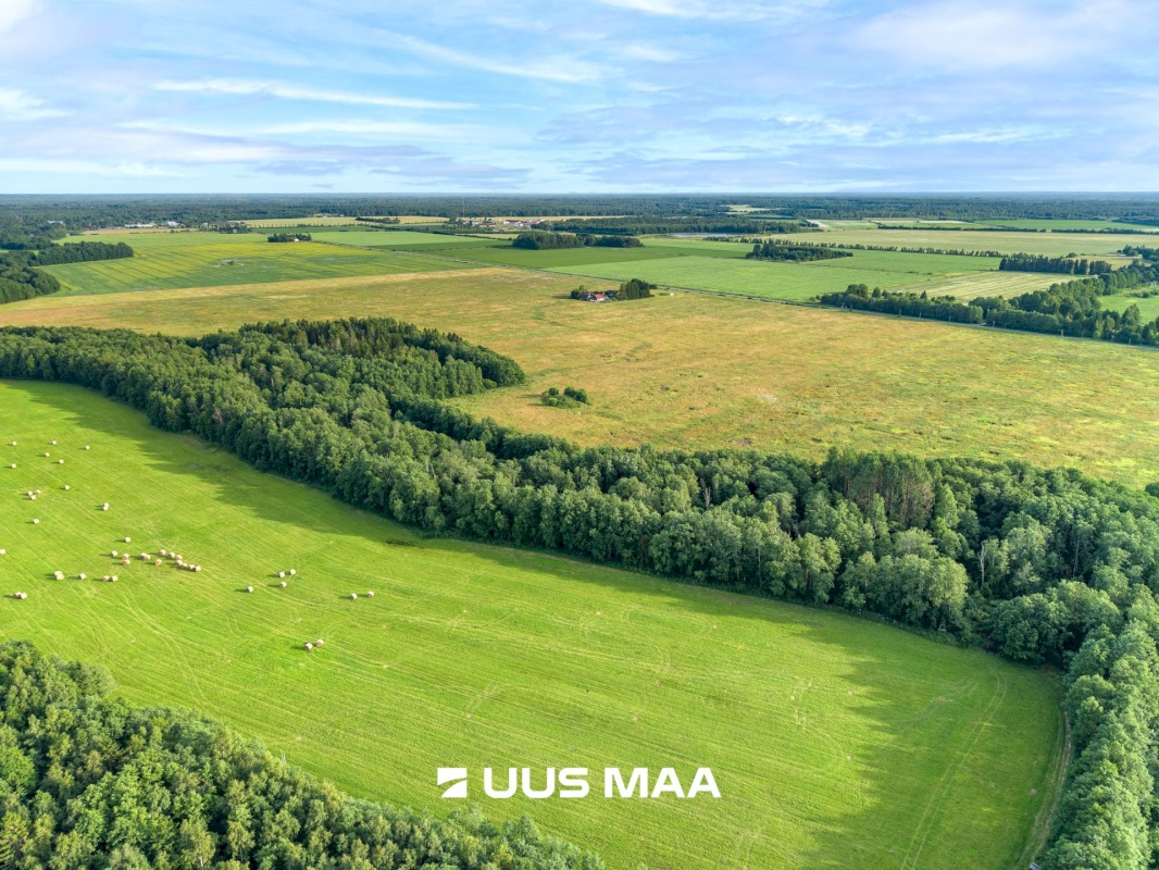Lääne-Harju vald, Laane küla, Kasemetsa