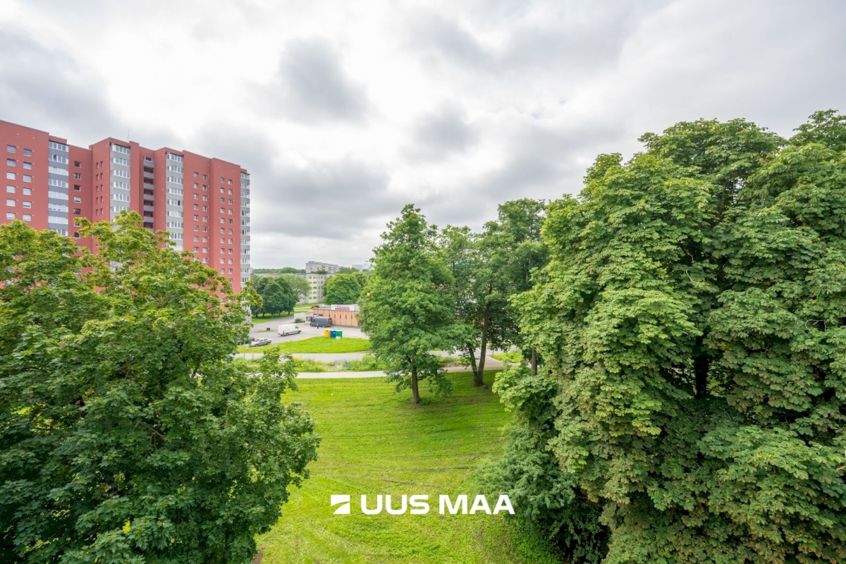 Tallinn, Mustamäe linnaosa, Tammsaare tee 99